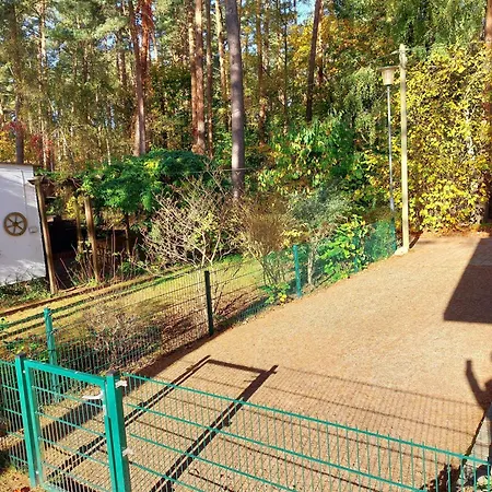 Waldschneise C Am Jabeler * Jabel